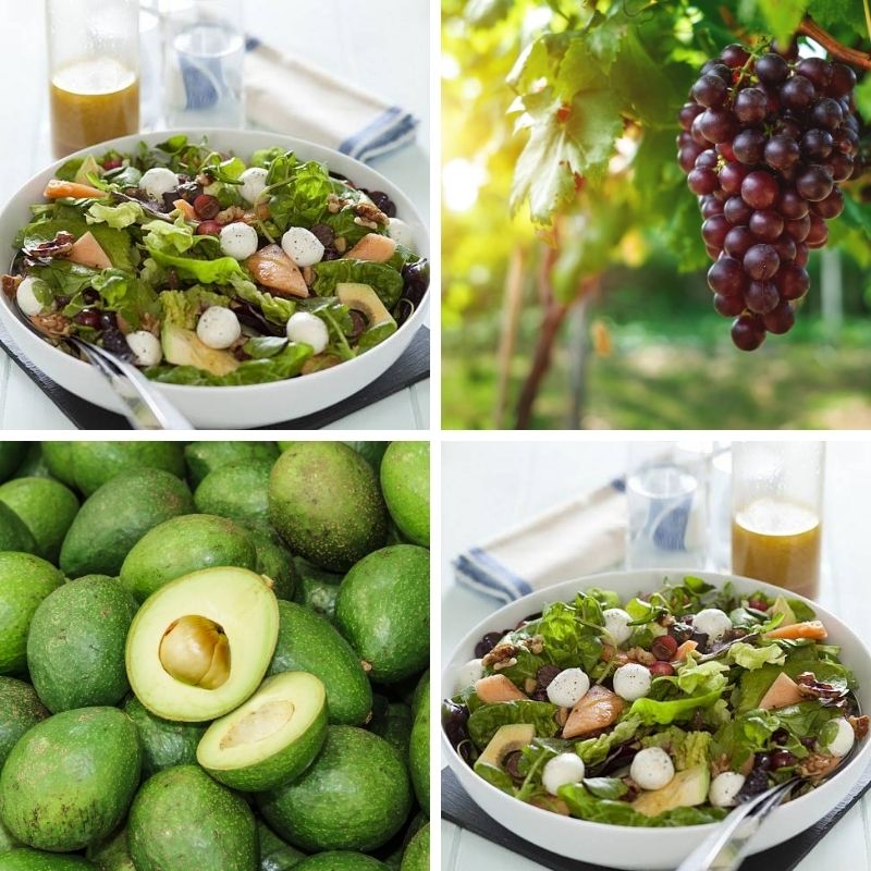 Mozzarella Treasure Hunt Salad Recipe