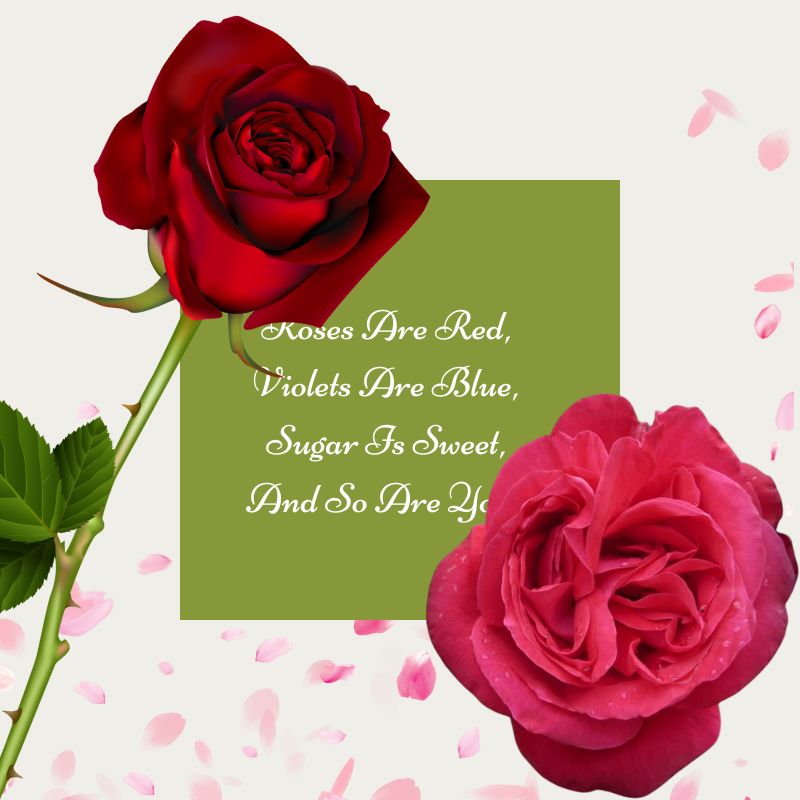 Roses Are Red, Violets Are Blue, Sugar Is Sweet And So Are You. 