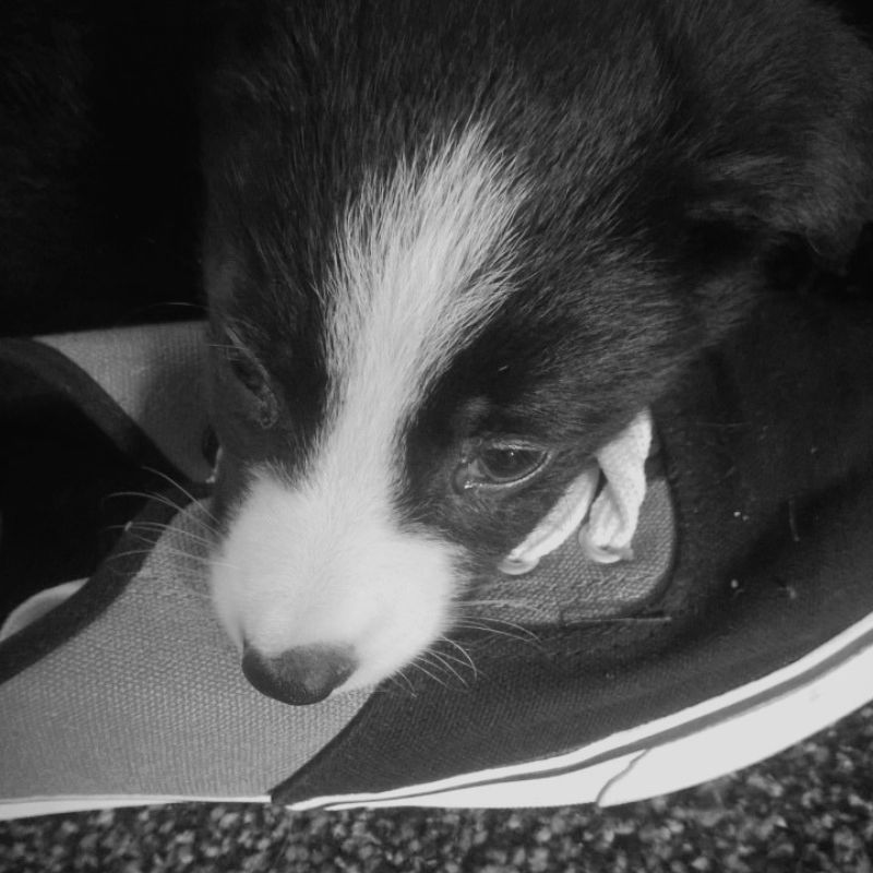 10 Things I’ve Learned From A 8 Week 