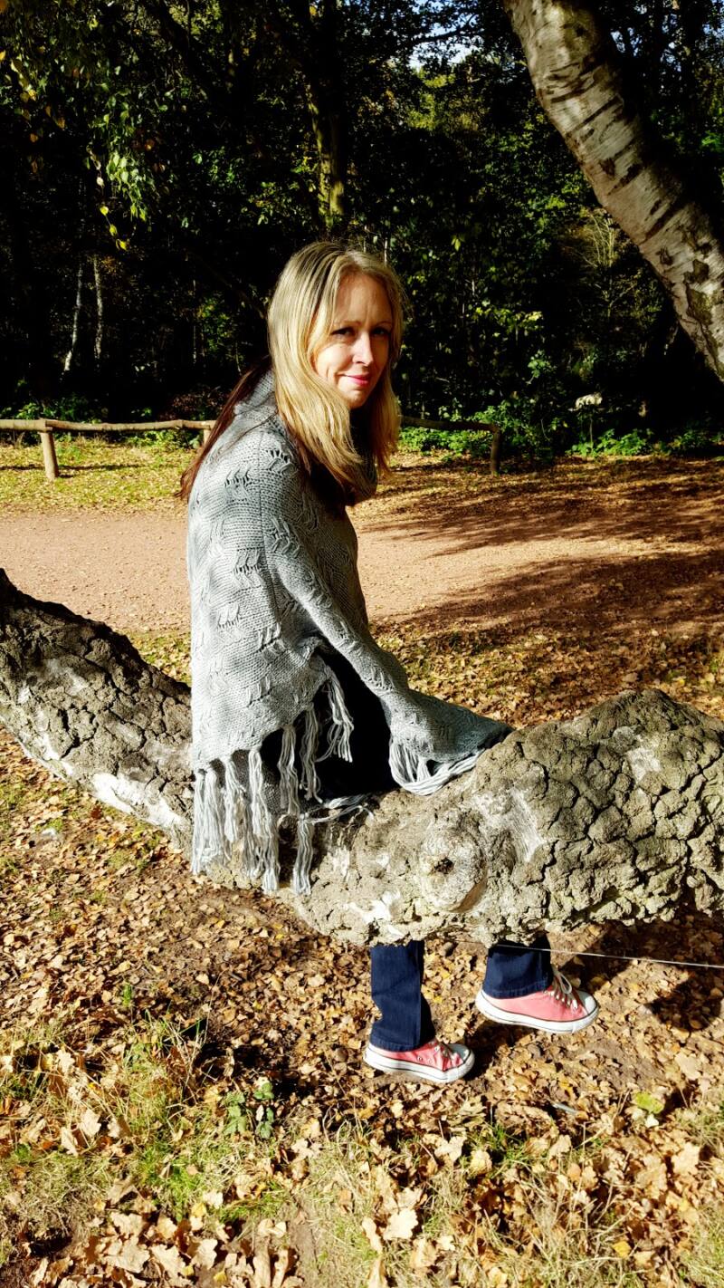 A Walk In Sherwood Forest