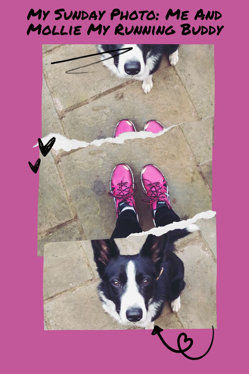 My Sunday Photo Me And Mollie My Running Buddy My Sunday Photo Me And Mollie My Running Buddy