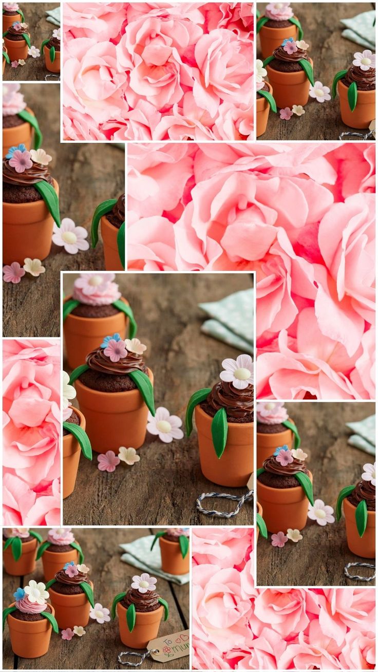 Chocolate Flowerpot Cupcakes Chocolate Flowerpot Cupcakes