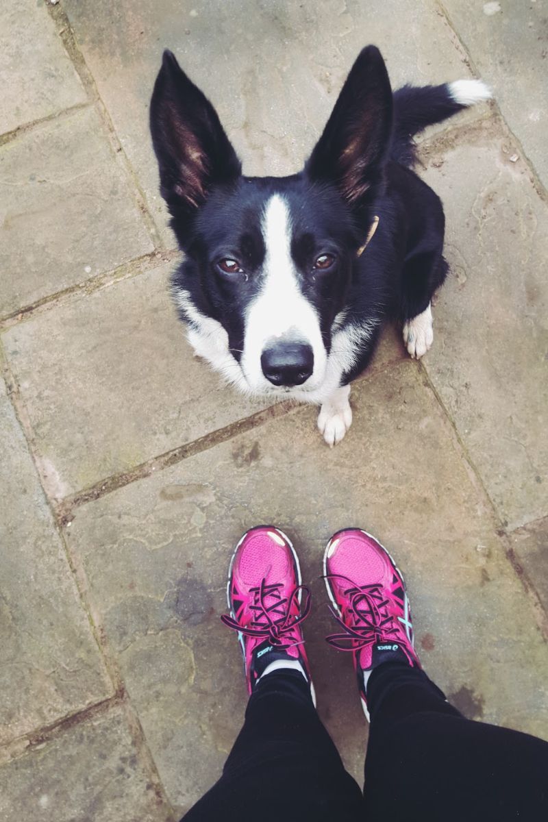 My Sunday Photo Me And Mollie My Running Buddy My Sunday Photo Me And Mollie My Running Buddy