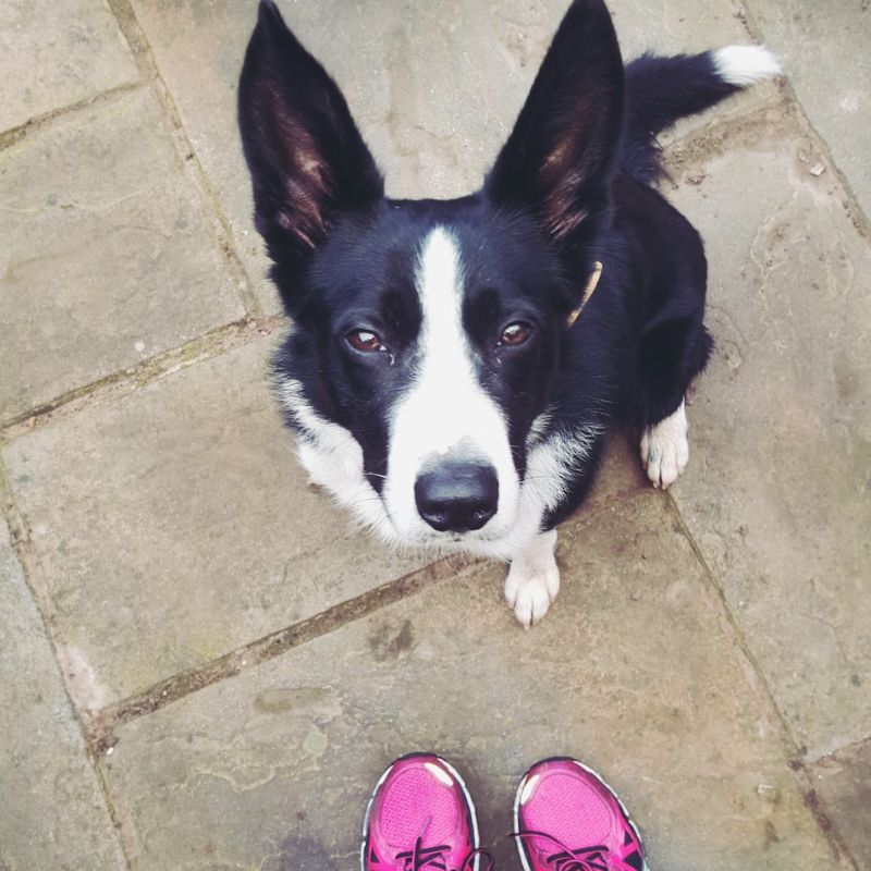 My Sunday Photo: Me And Mollie My Running Buddy