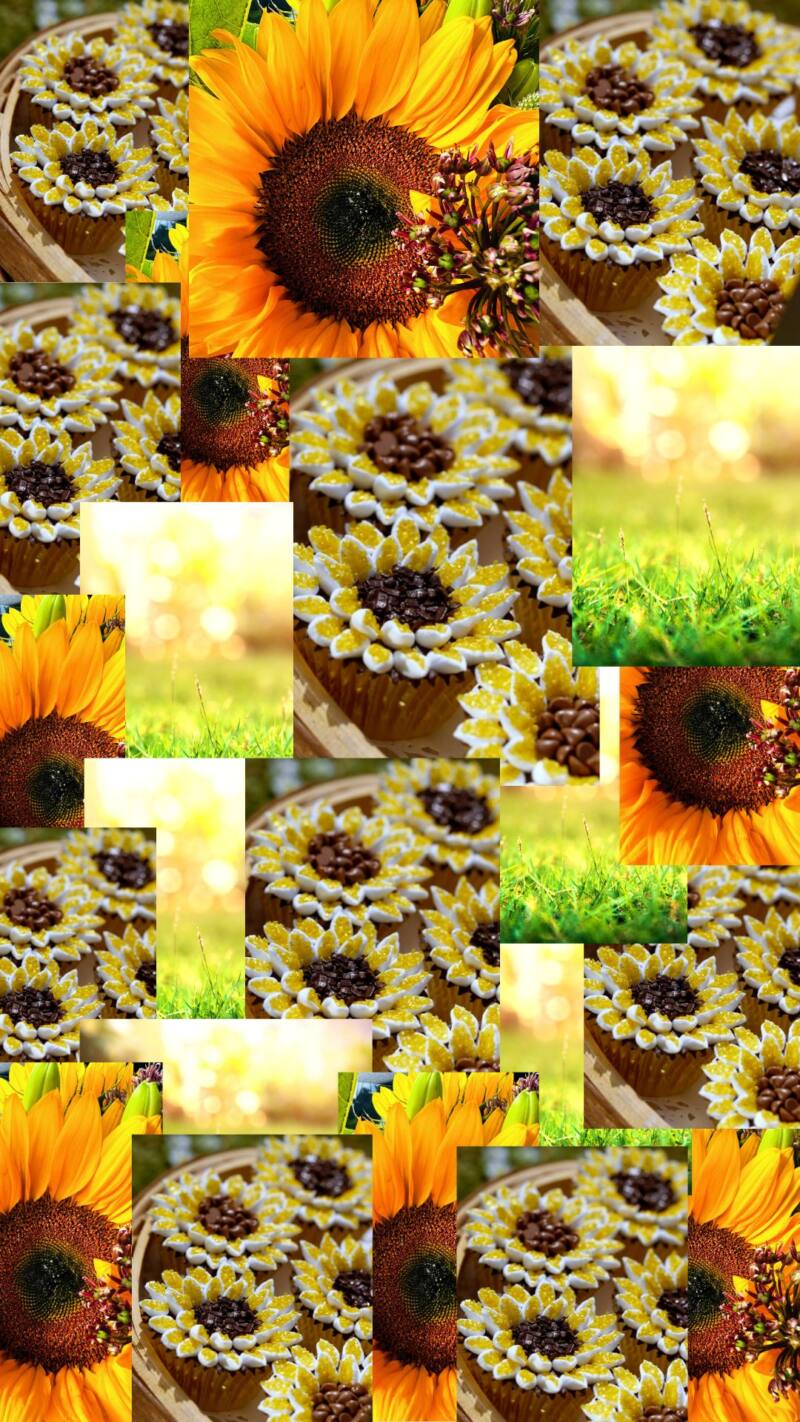Sunflower Cupcake Recipe