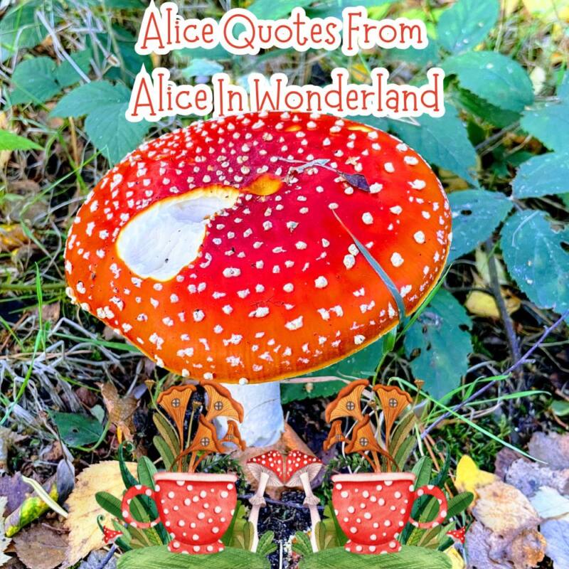 Alice Quotes From Alice In Wonderland