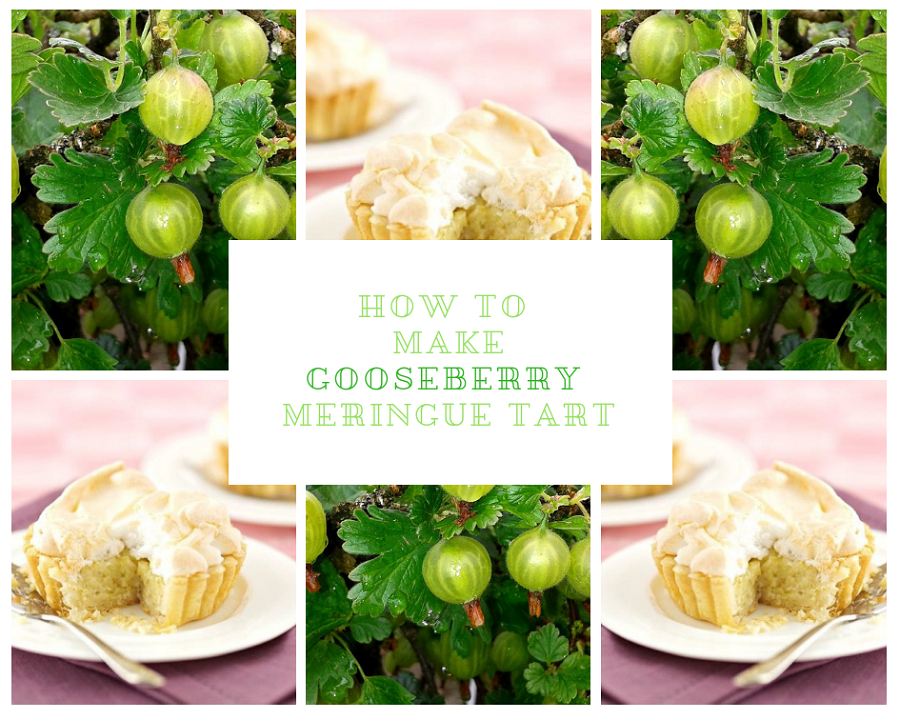Gooseberry Meringue Tart And Childhood Memories Gooseberry Meringue Tart And Childhood Memories