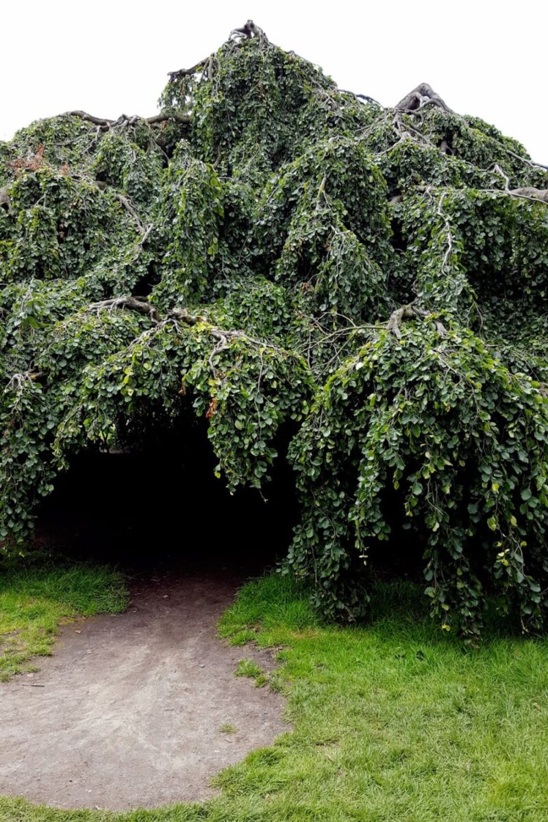 A Fun Morning In Hyde Park: London Travels On Two Wheels