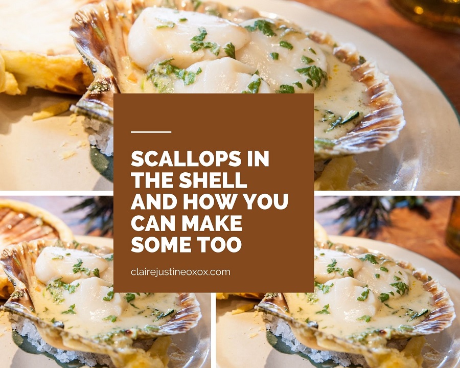 Scallops In The Shell And How You Can Make Some Too 