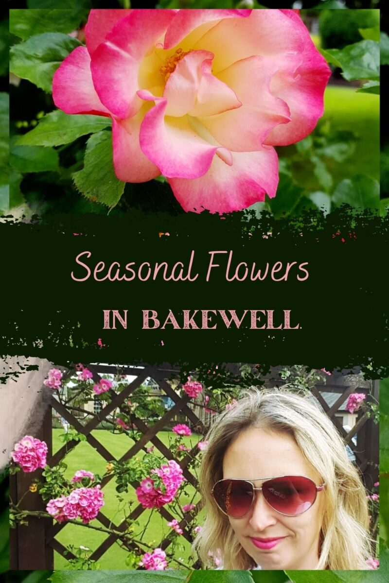 Seasonal Flowers in Bakewell