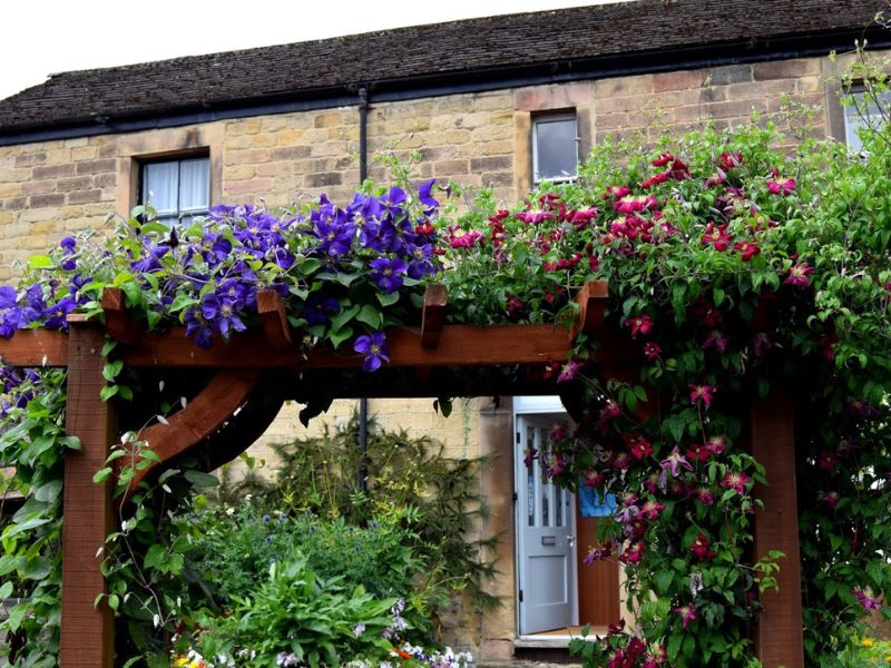 English Country Garden In Bakewell