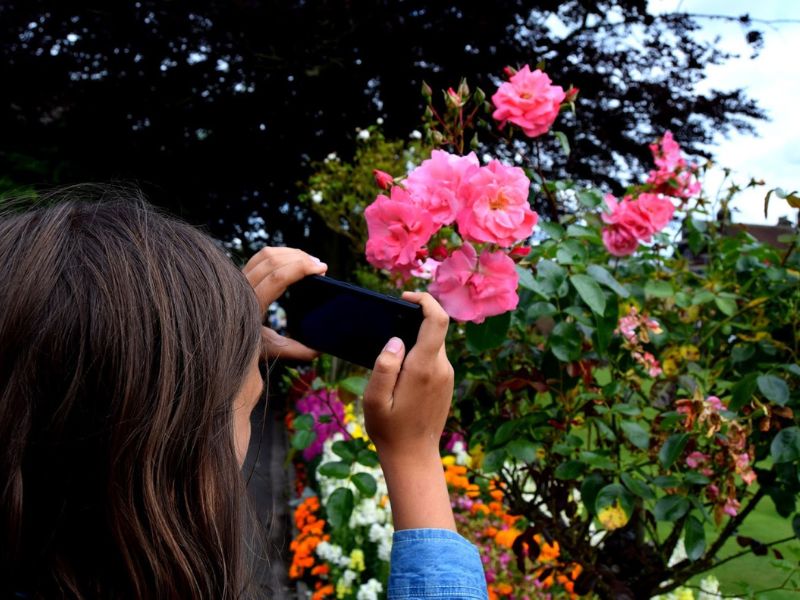 English Country Garden In Bakewell