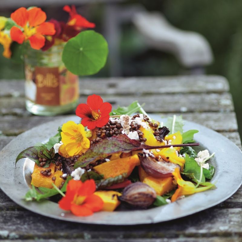 Warm Pumpkin and Lentil Salad with Goat’s Cheese