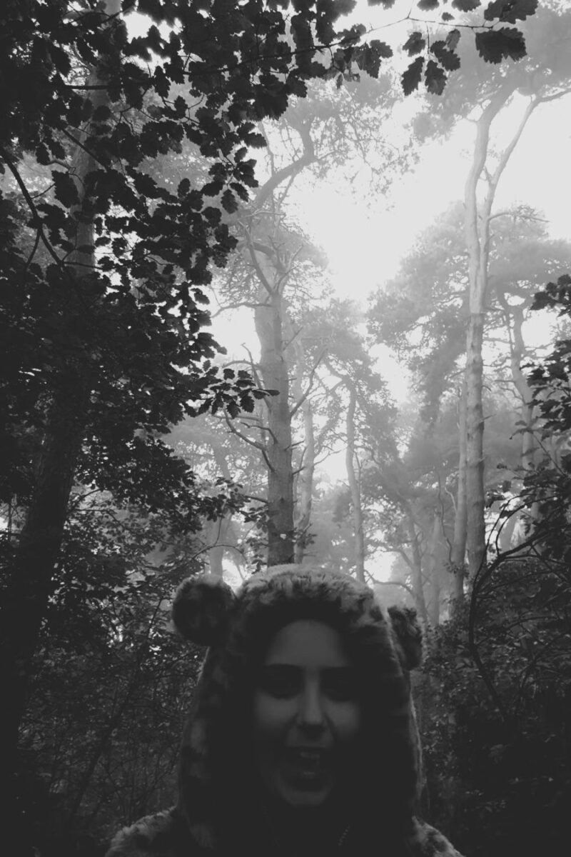 Foggy Walk In The Woods With Mollie The Collie And My Daughter