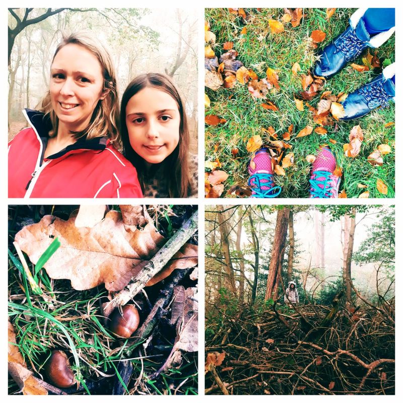 Foggy Walk In The Woods With Mollie The Collie And My Daughter