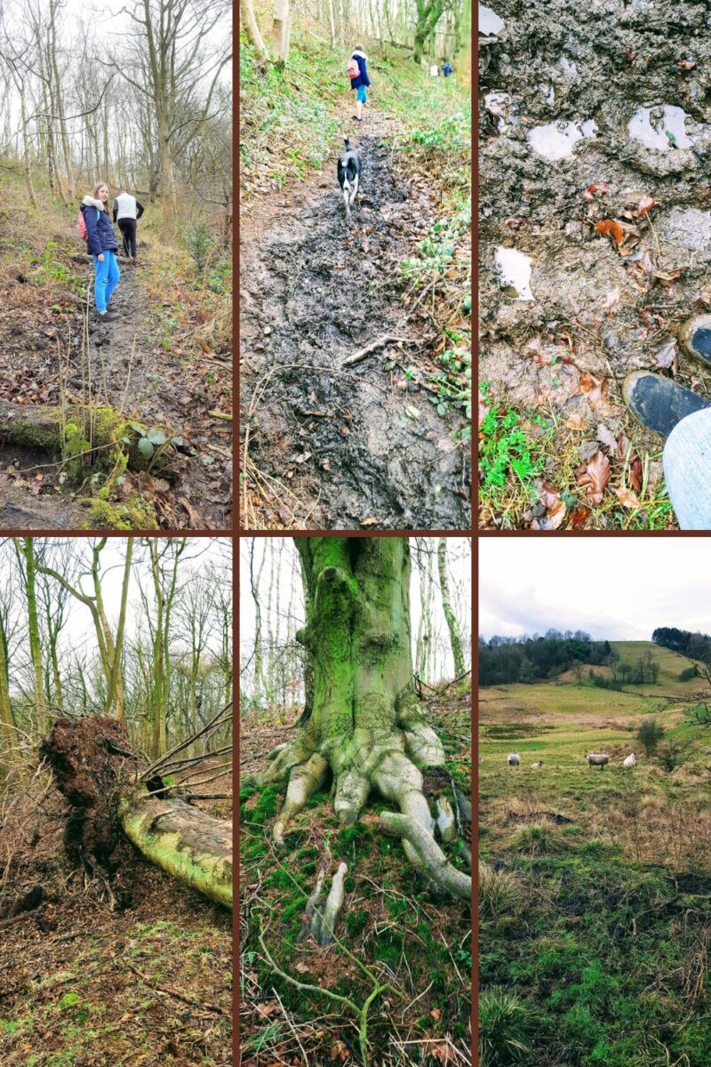 A Muddy Walk In Bakewell: