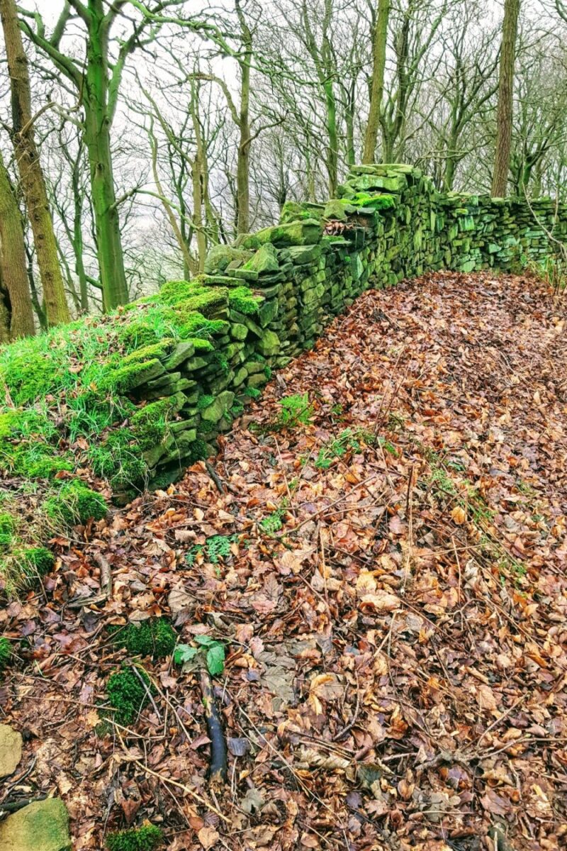 A Muddy Walk In Bakewell: