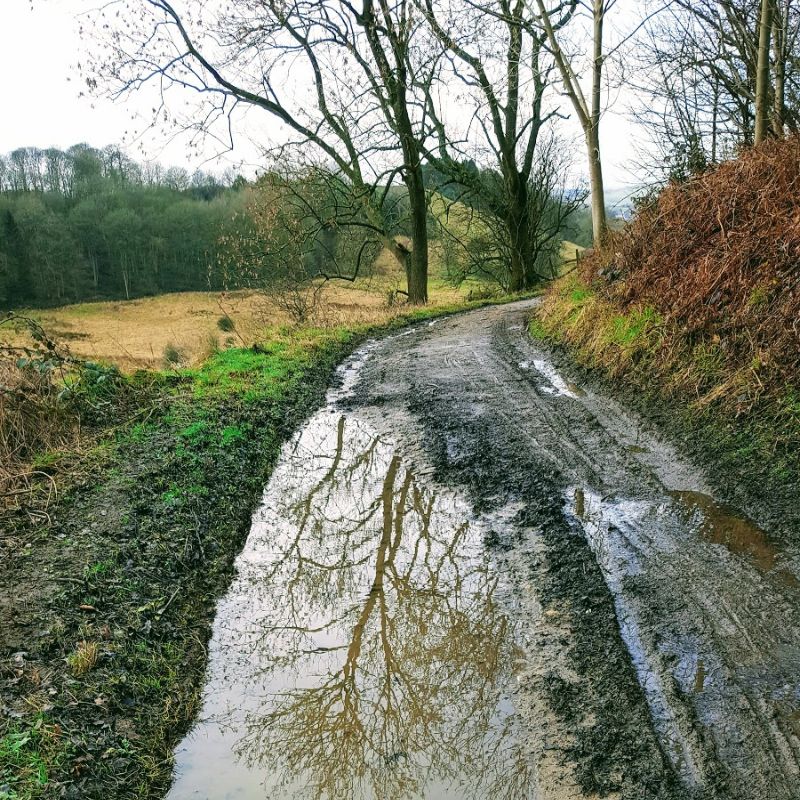 A Muddy Walk In Bakewell