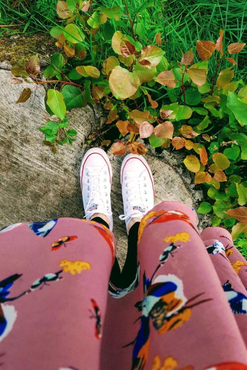 The Best Spots In Bakewell For Flower Lovers Converse