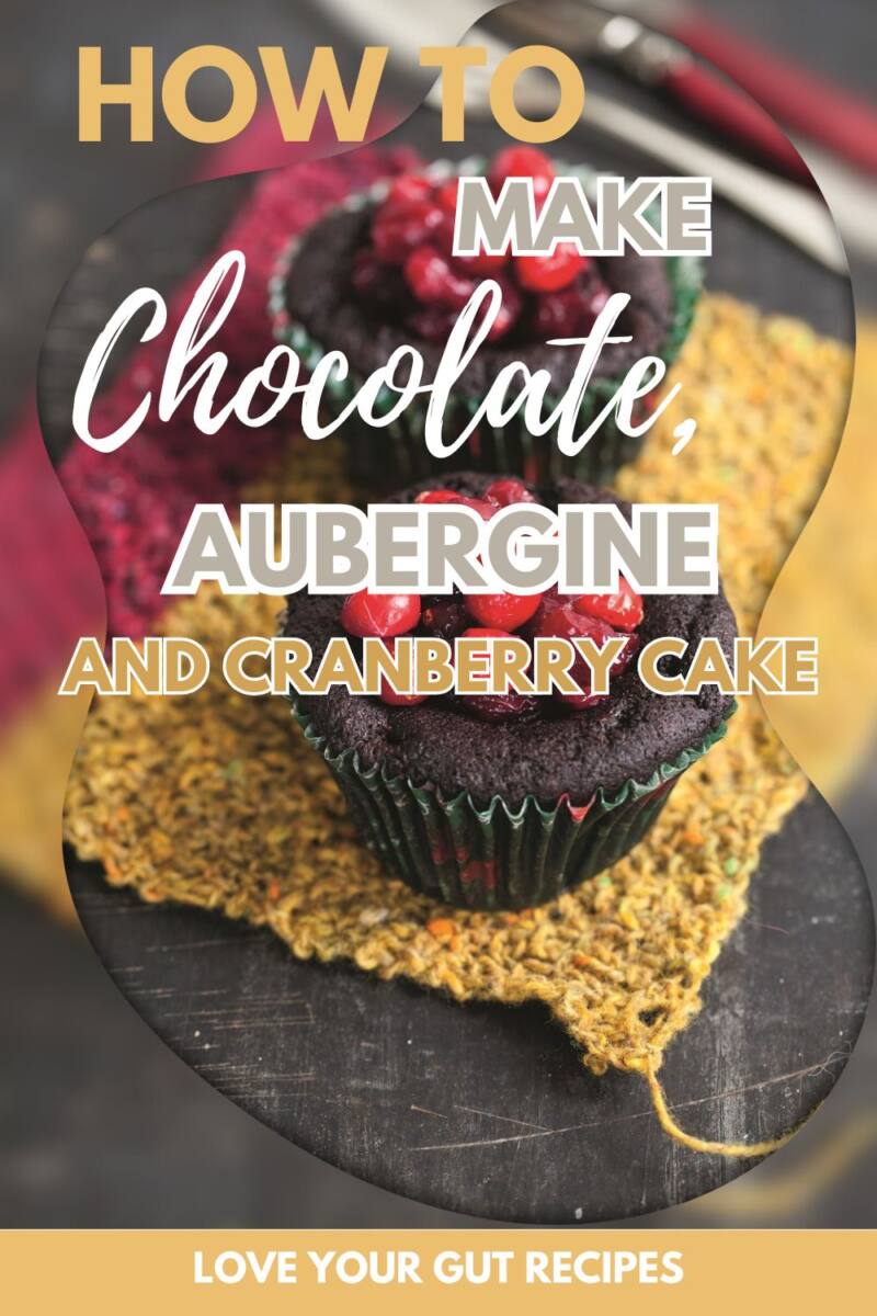 Chocolate, Aubergine And Cranberry Cake Recipe