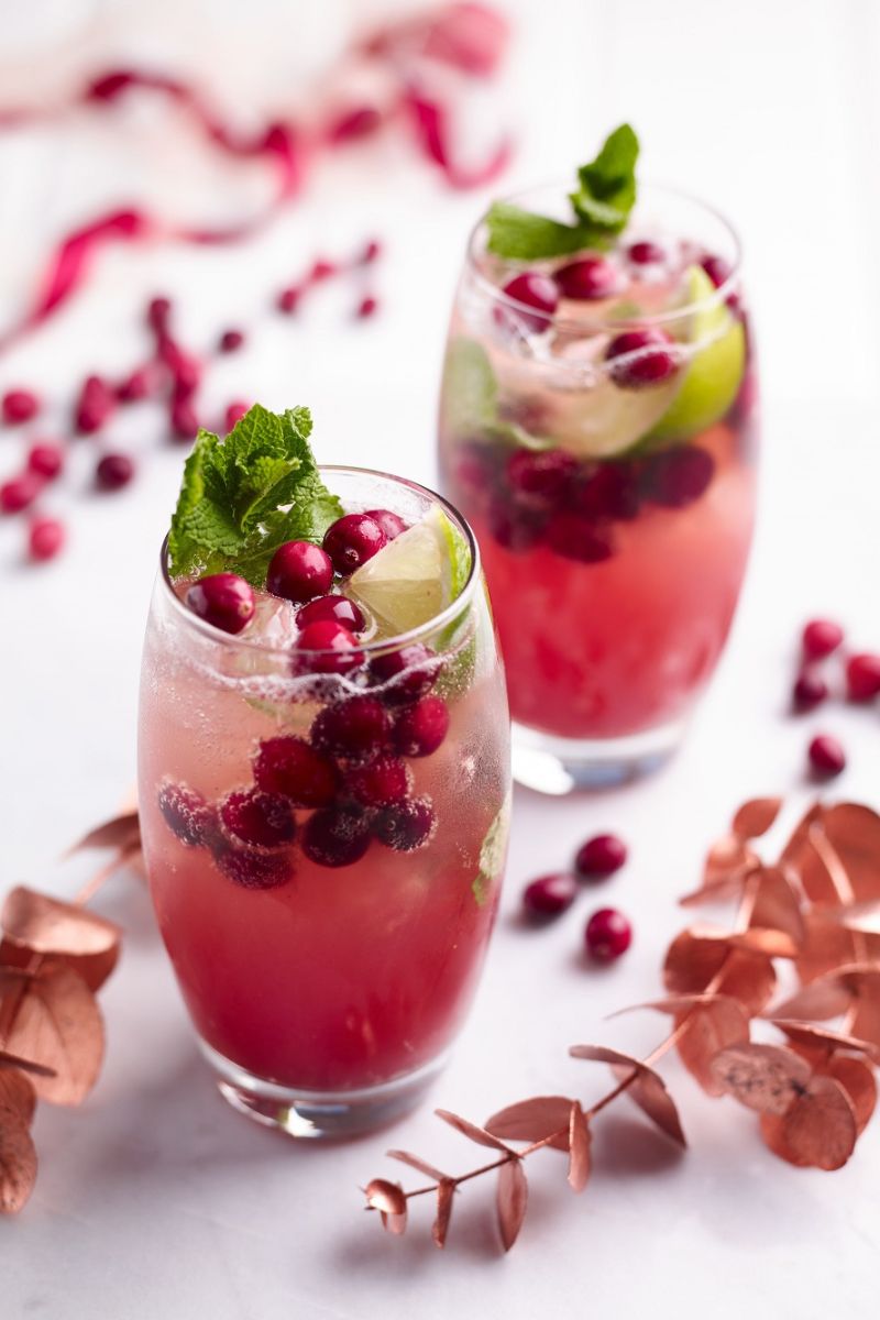 Cranberry Mojito Recipe