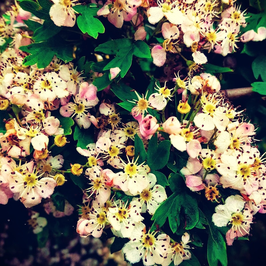 OOTD And A Trip To Gedling Country Park 