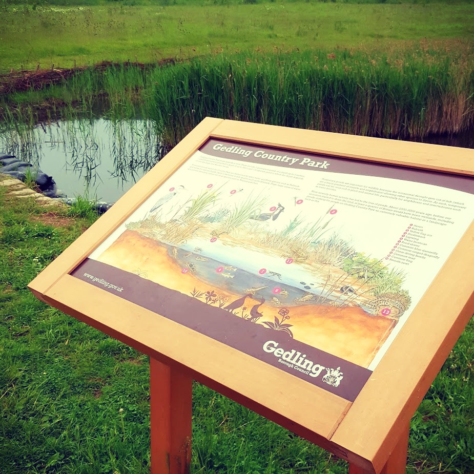 You Don't Have To Go Fast, You Just Have To Go.