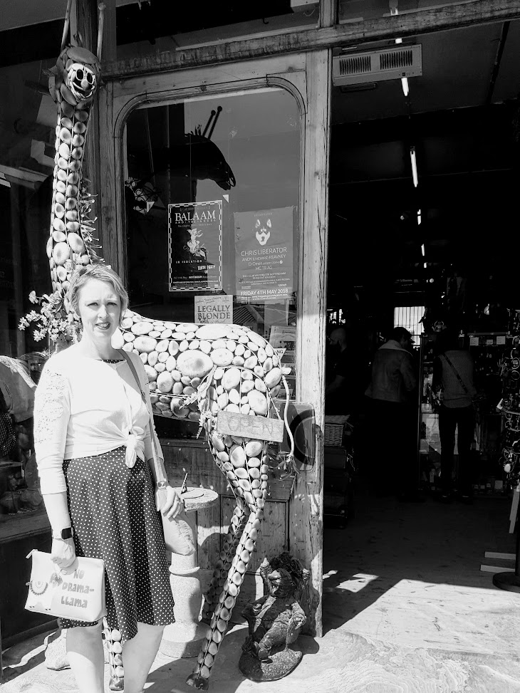 Polka Dots And Drama Llamas Polka Dots And Drama Llamas