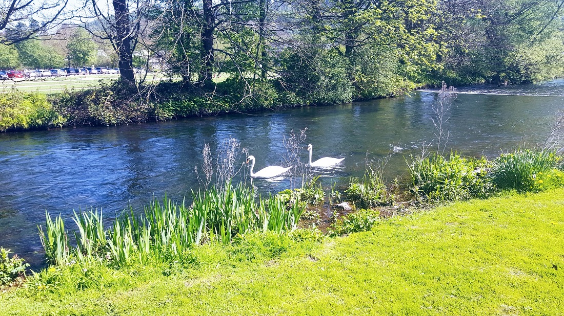 Messing Around On The River Around The River In Bakewell
