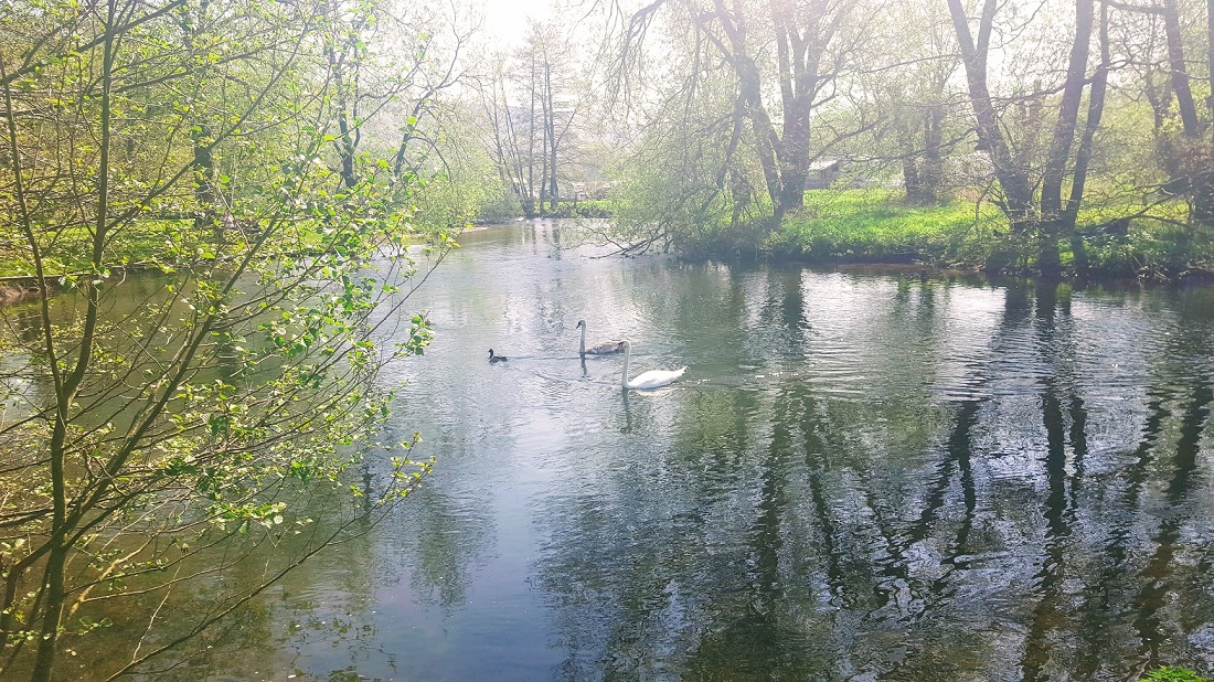 Messing Around On The River Around The River In BakewelL