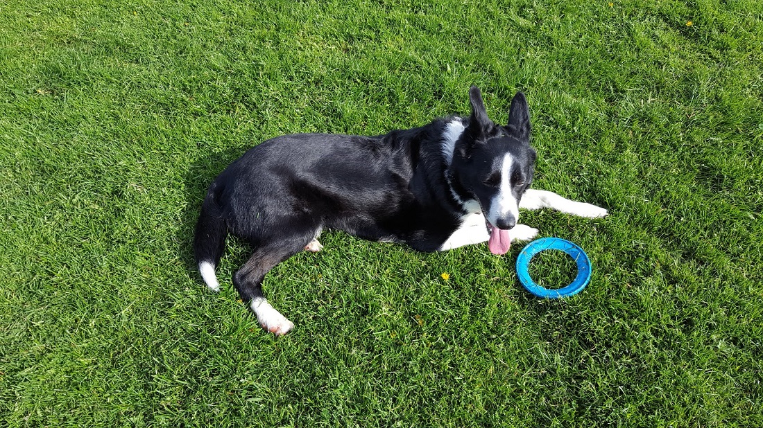 Best Friend Day: Have A Super Relaxing Weekend Just Like Mollie!