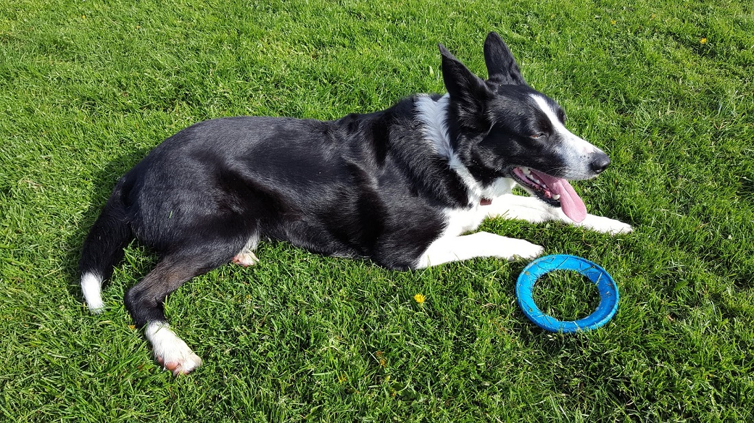 Best Friend Day: Have A Super Relaxing Weekend Just Like Mollie!