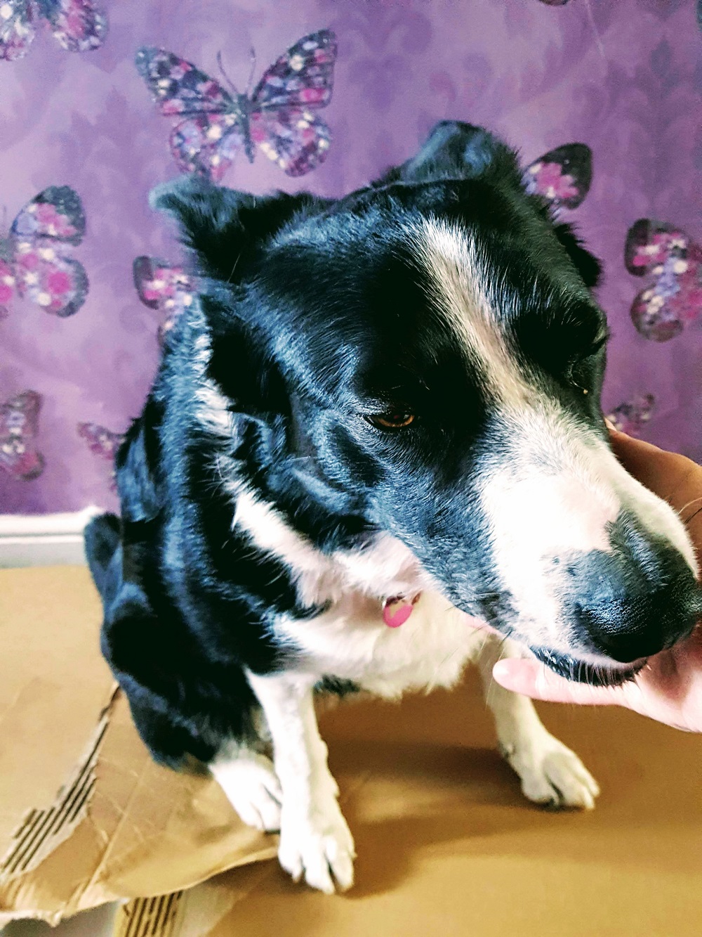 Here Comes The Weekend