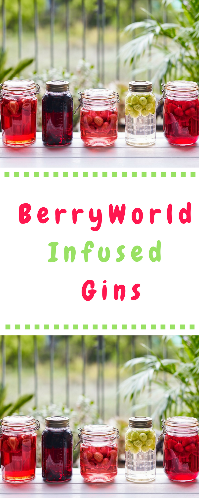 Infused Gins With Berries Of Your Choice