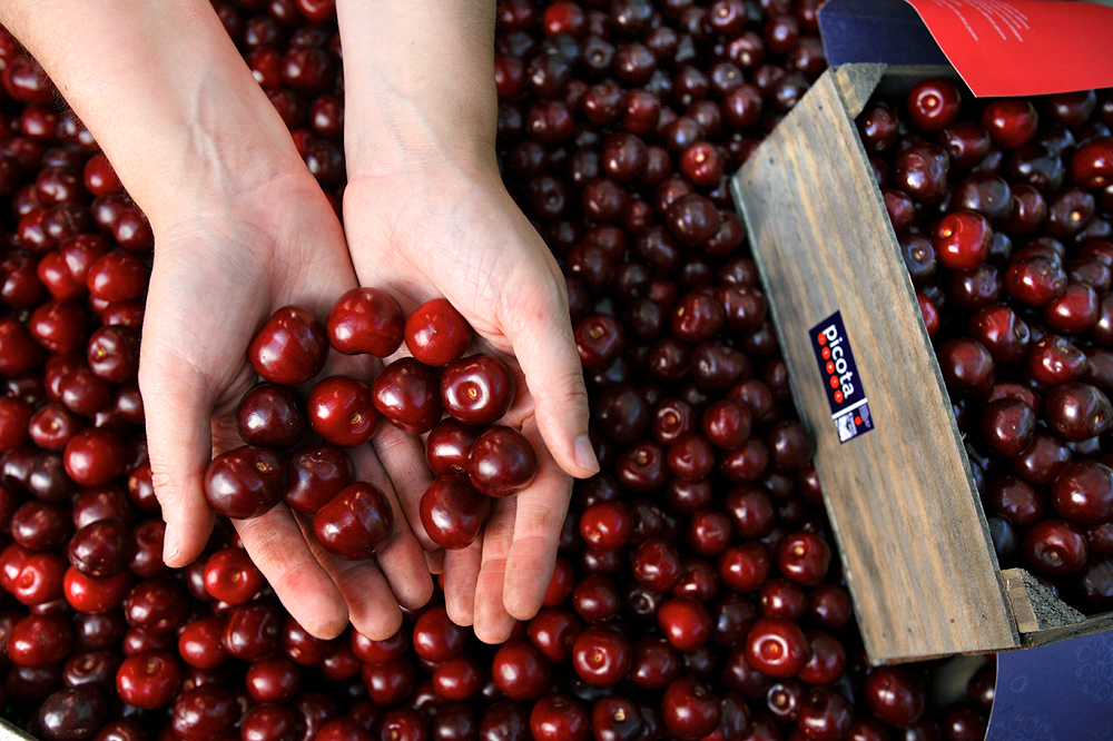 13 Tasty Scone Recipes For Afternoon Tea. 13 Tasty Scone Recipes For Afternoon Tea