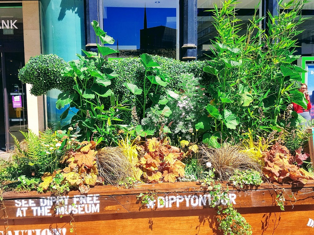 Take A Walk With Me Around Birmingham