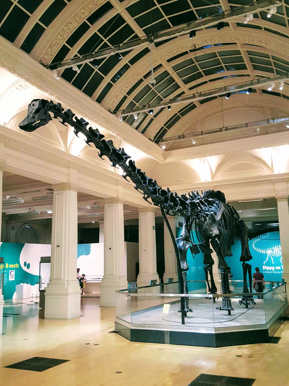 Take A Walk With Me Around Birmingham