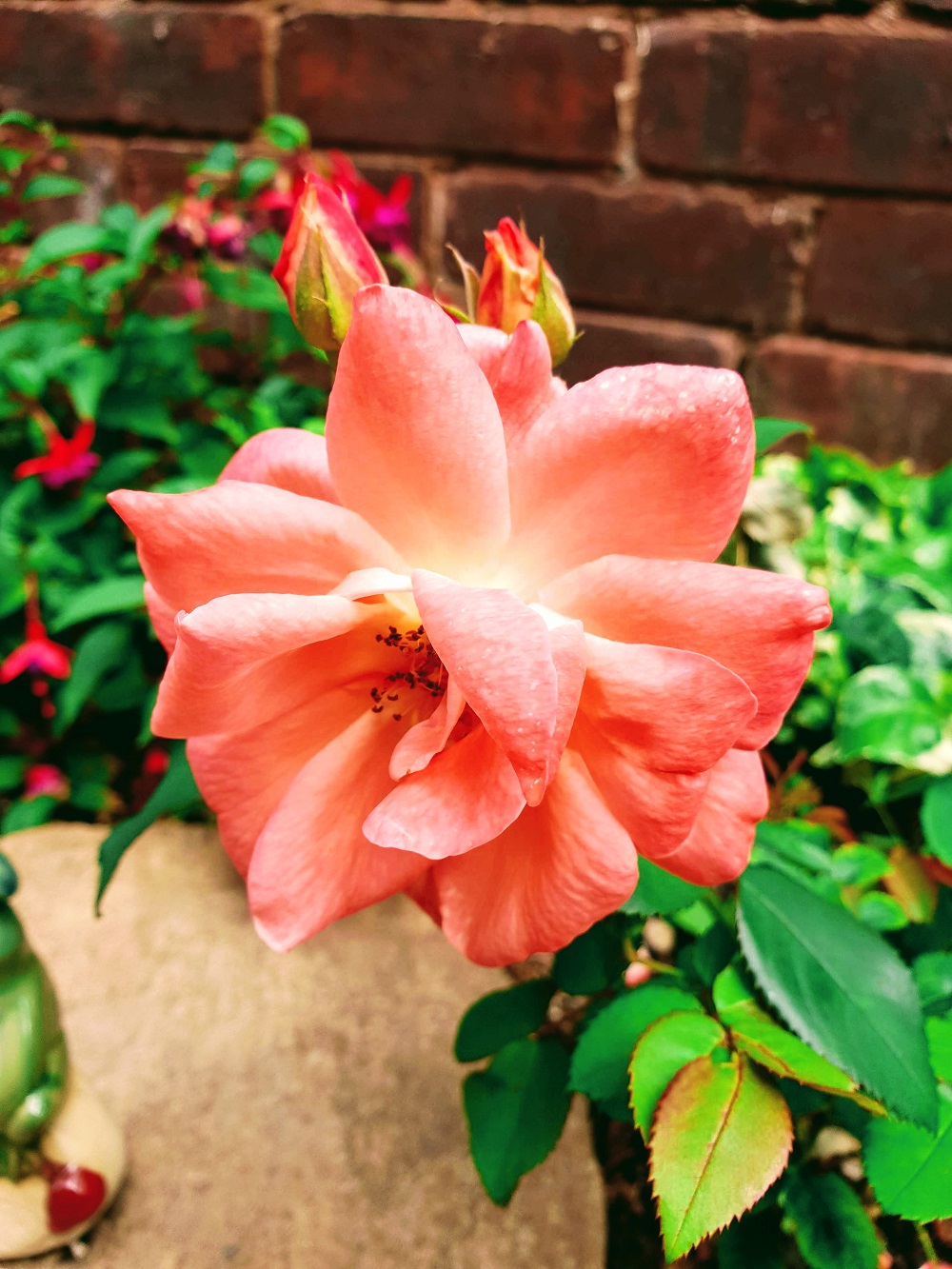Brown Polka Dot Dress: Pretty Woman Style!? Peach flower