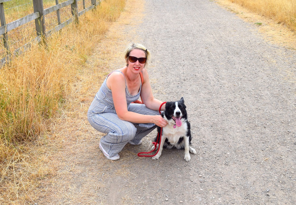 A Day In The Life Of Mollie The Border Collie