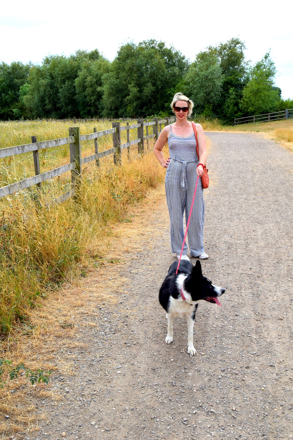 Llama Spotting At Attenborough Nature Reserve