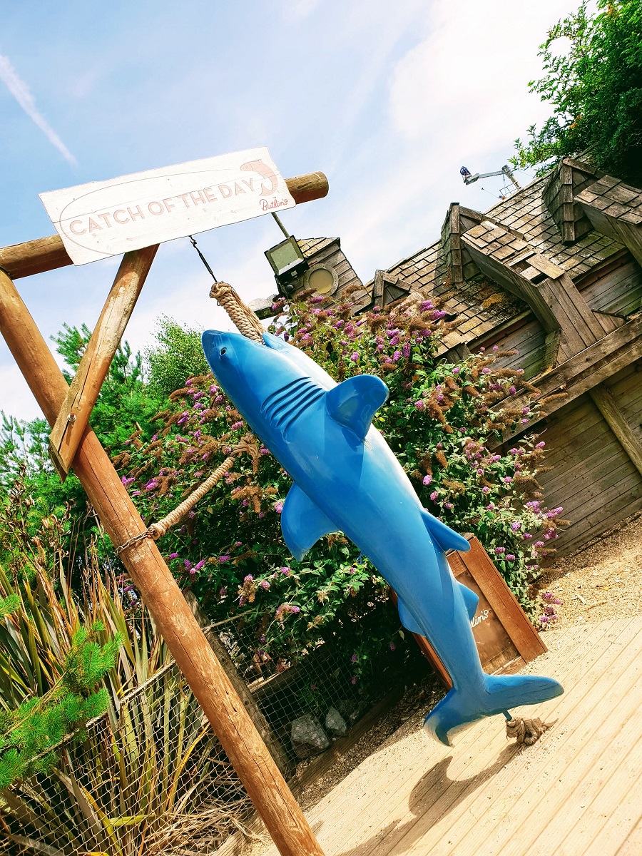 Summer How Come You're Not Here? Summer How Come You're Not Here? Wednesday Linky