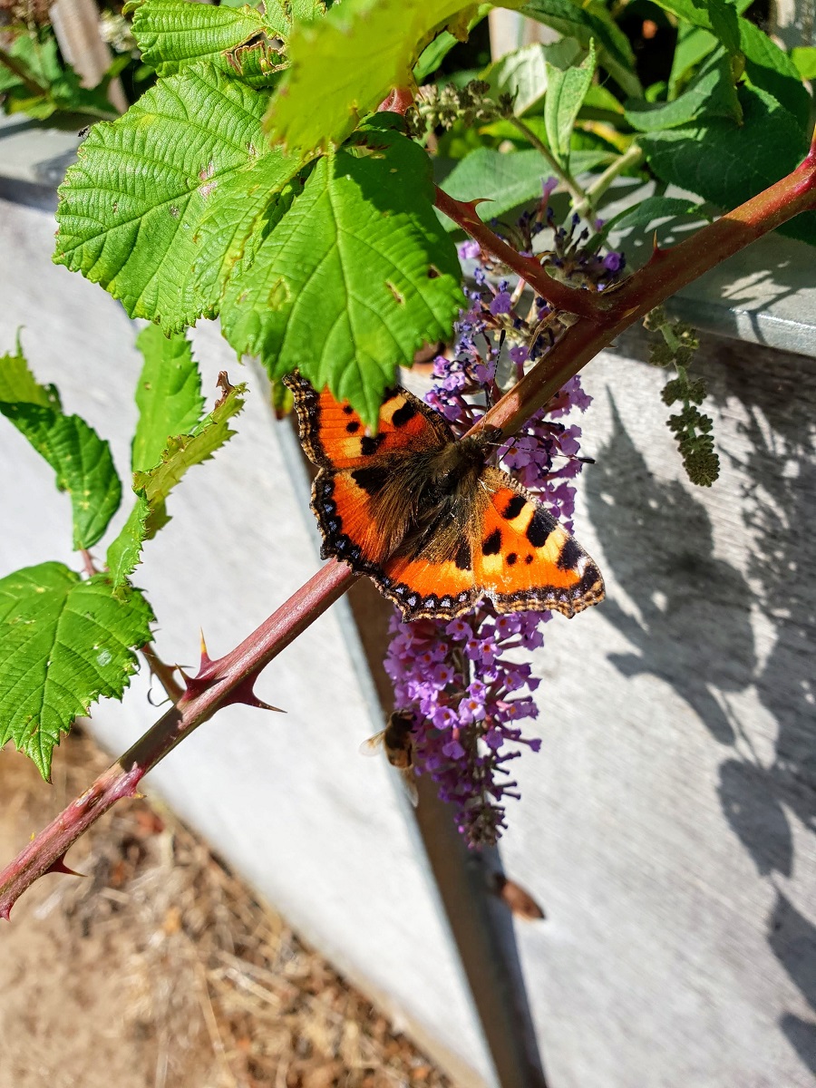  Some Beautiful Photos