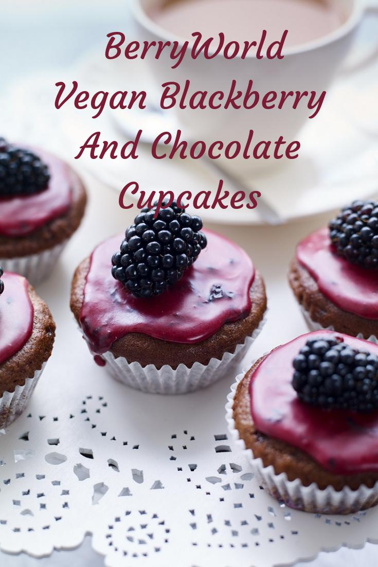 BerryWorld Vegan Blackberry And Chocolate Cupcakes