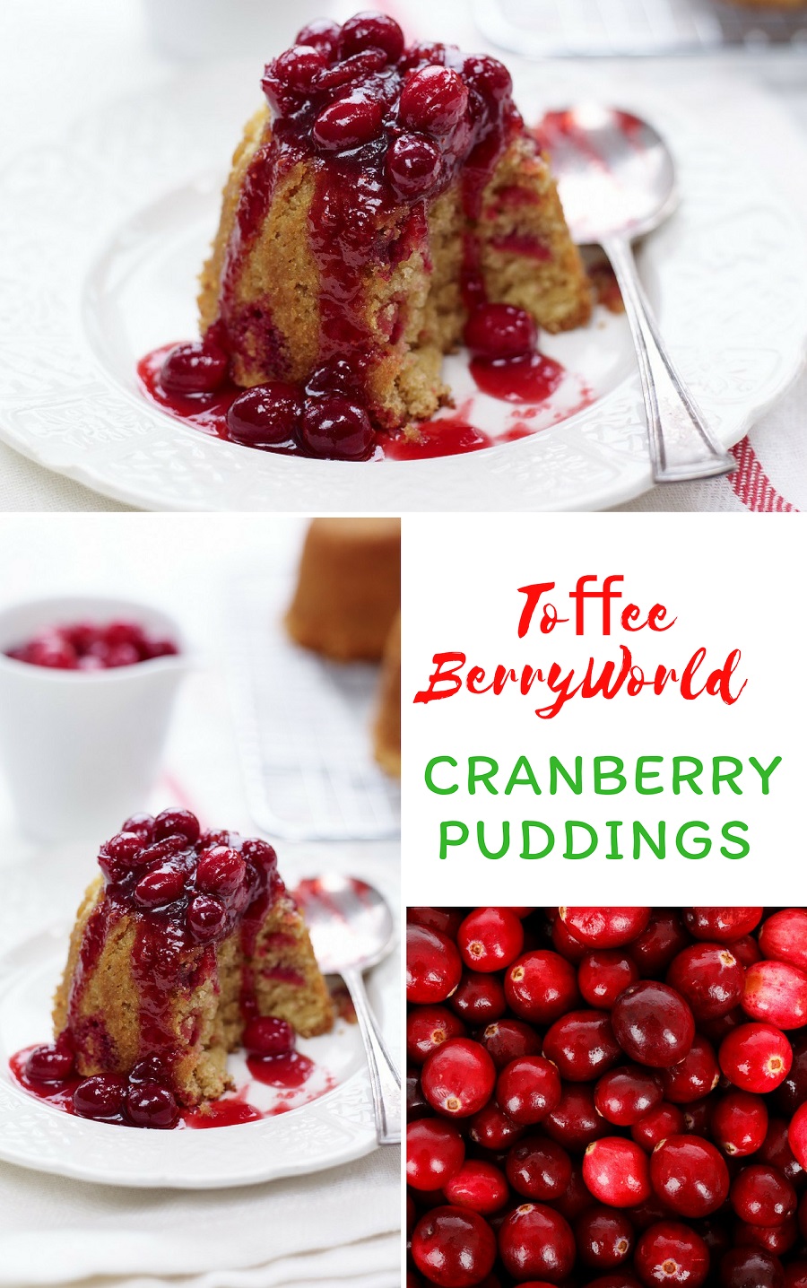 Toffee BerryWorld Cranberry Puddings.