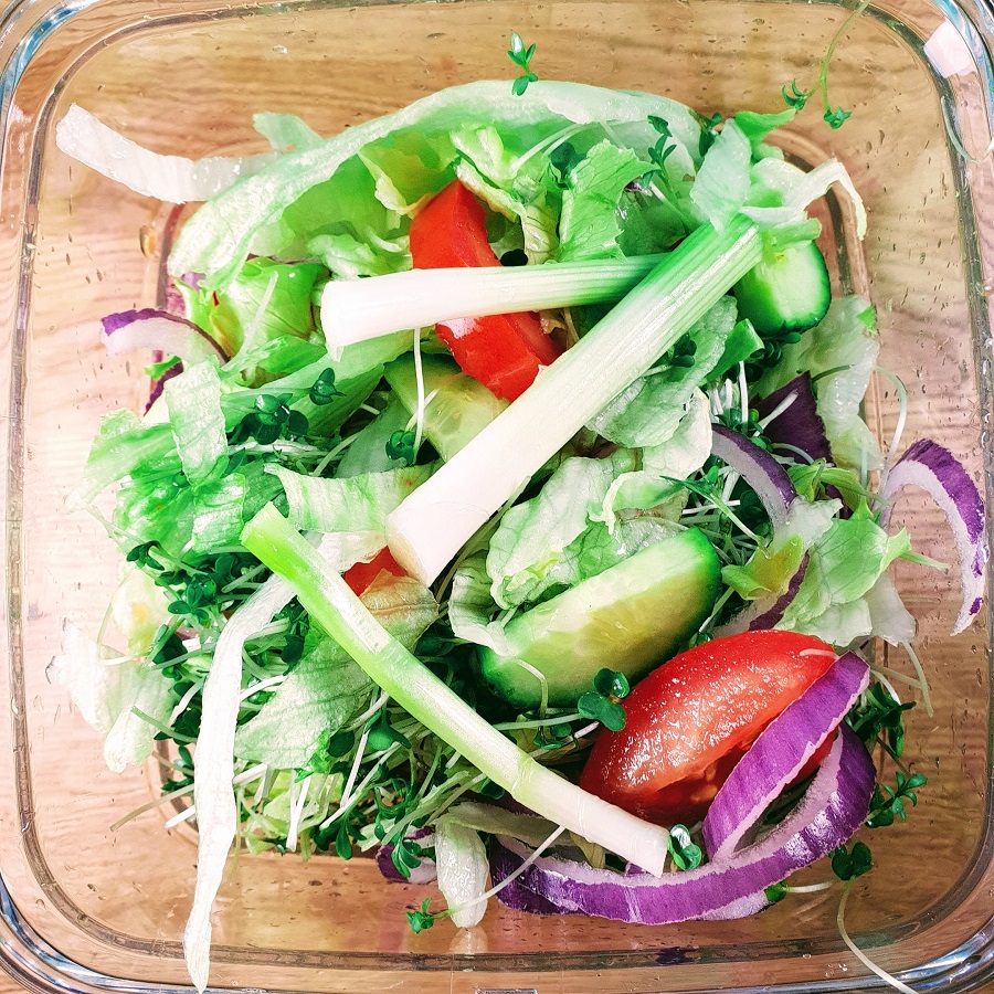 FoodSaver Zero-Waste Challenge FoodSaver Zero-Waste Challenge