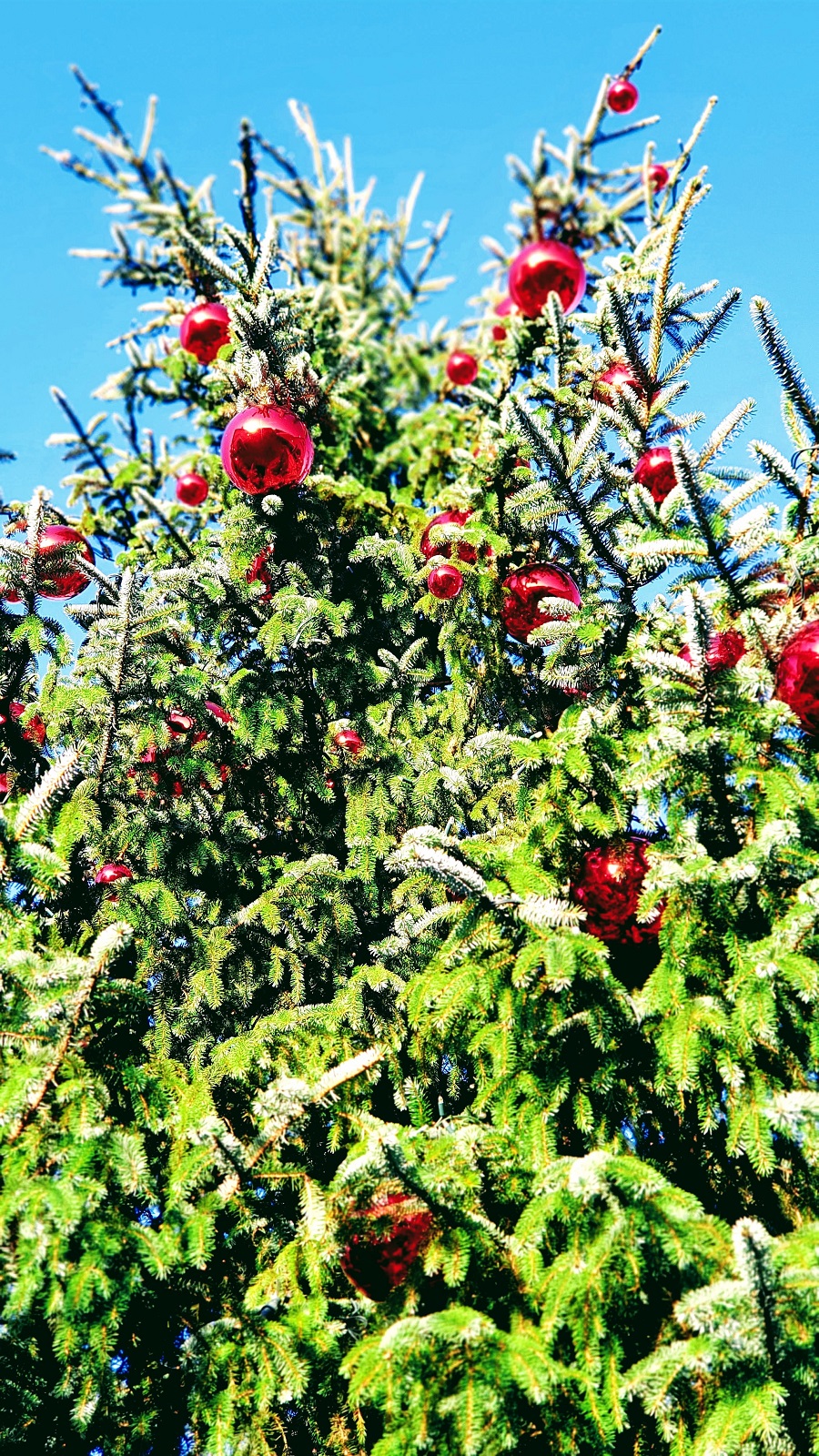 It's Beginning To Look A Lot Like Christmas