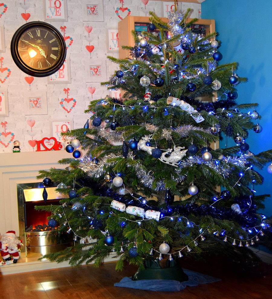 The Christmas Forest: Christmas Tree Review: The Christmas Forest: Christmas Tree Review