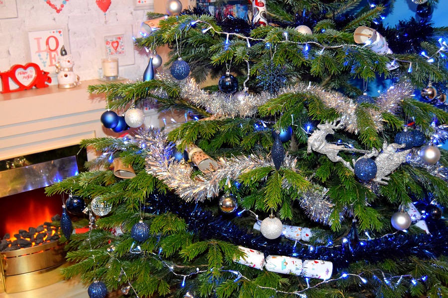 The Christmas Forest: Christmas Tree Review The Christmas Forest: Christmas Tree Review