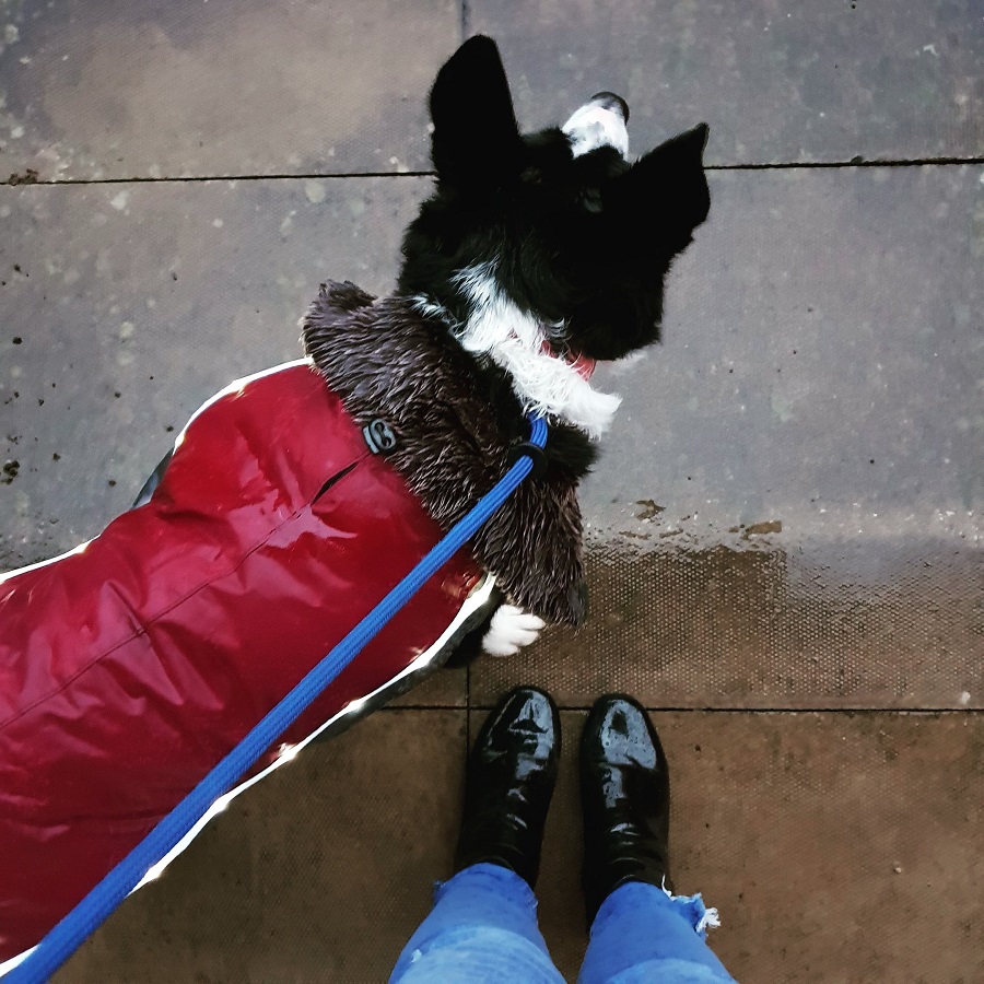 Coat And Boot Weather Outside Coat And Boot Weather Outside