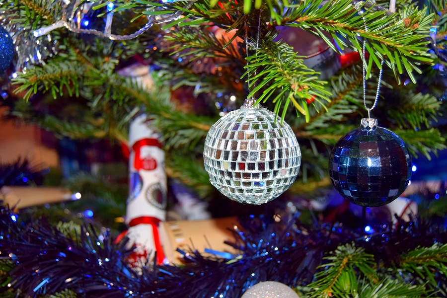 The Christmas Forest: Christmas Tree Review Tree Review